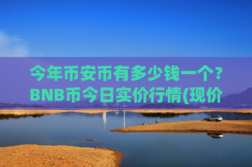 今年币安币有多少钱一个？BNB币今日实价行情(现价5170.49元)