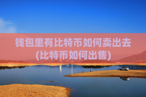 钱包里有比特币如何卖出去(比特币如何出售)