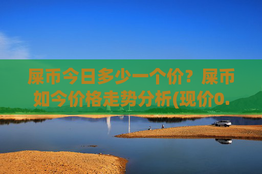 屎币今日多少一个价？屎币如今价格走势分析(现价0.000158元)