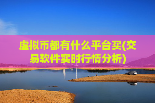 虚拟币都有什么平台买(交易软件实时行情分析)