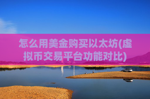 怎么用美金购买以太坊(虚拟币交易平台功能对比)
