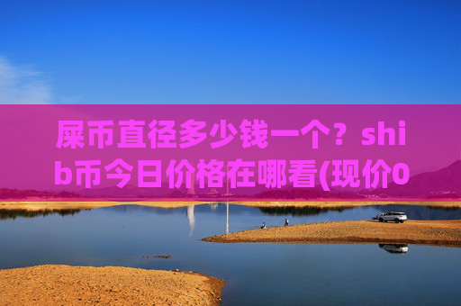 屎币直径多少钱一个？shib币今日价格在哪看(现价0.00022071元)