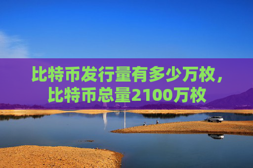 比特币发行量有多少万枚，比特币总量2100万枚