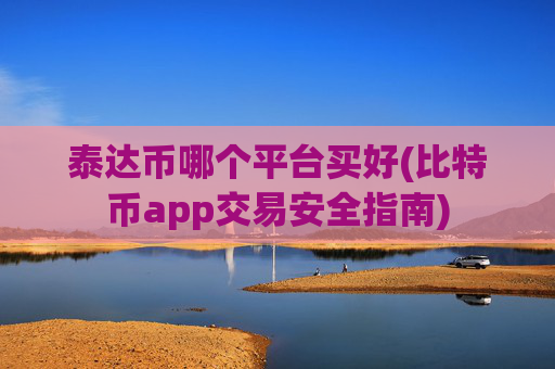 泰达币哪个平台买好(比特币app交易安全指南)