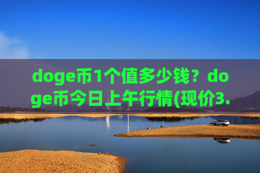 doge币1个值多少钱？doge币今日上午行情(现价3.1527元)