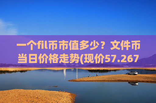 一个fil币市值多少？文件币当日价格走势(现价57.2677元)