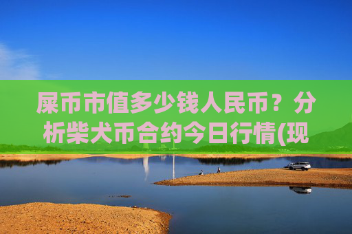 屎币市值多少钱人民币？分析柴犬币合约今日行情(现价0.0002234元)