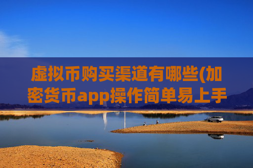 虚拟币购买渠道有哪些(加密货币app操作简单易上手)
