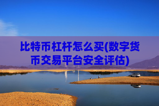 比特币杠杆怎么买(数字货币交易平台安全评估)
