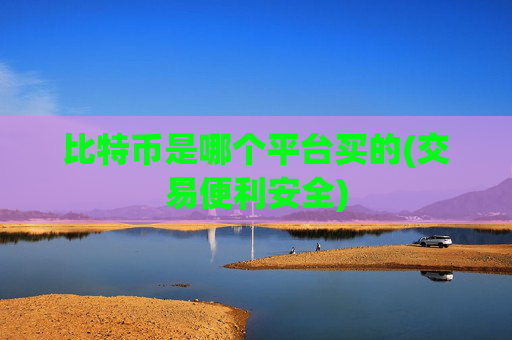 比特币是哪个平台买的(交易便利安全)