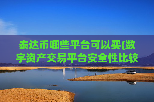 泰达币哪些平台可以买(数字资产交易平台安全性比较)