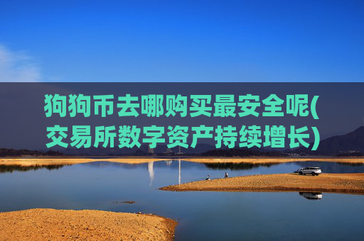 狗狗币去哪购买最安全呢(交易所数字资产持续增长)