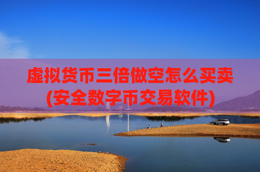 虚拟货币三倍做空怎么买卖(安全数字币交易软件)