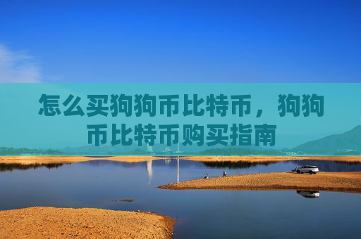 怎么买狗狗币比特币，狗狗币比特币购买指南