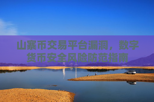 山寨币交易平台漏洞，数字货币安全风险防范指南