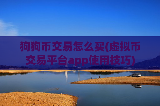 狗狗币交易怎么买(虚拟币交易平台app使用技巧)