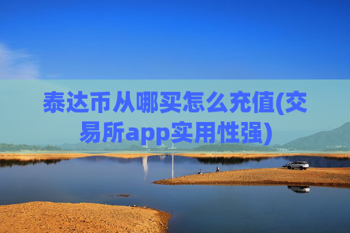 泰达币从哪买怎么充值(交易所app实用性强)