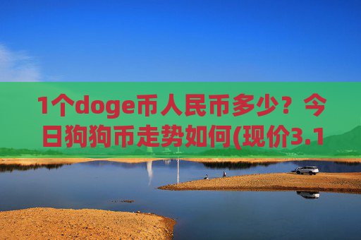 1个doge币人民币多少？今日狗狗币走势如何(现价3.1656元)