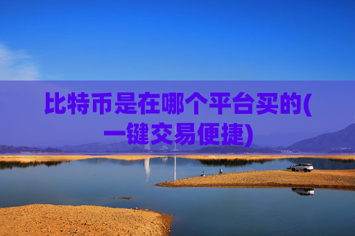 比特币是在哪个平台买的(一键交易便捷)
