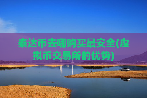泰达币去哪购买最安全(虚拟币交易所的优势)