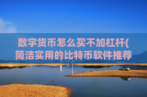 数字货币怎么买不加杠杆(简洁实用的比特币软件推荐)