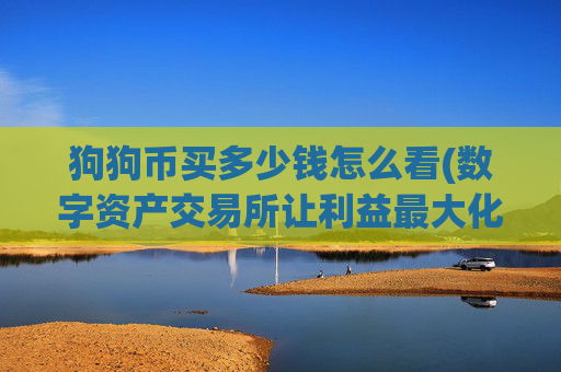 狗狗币买多少钱怎么看(数字资产交易所让利益最大化)