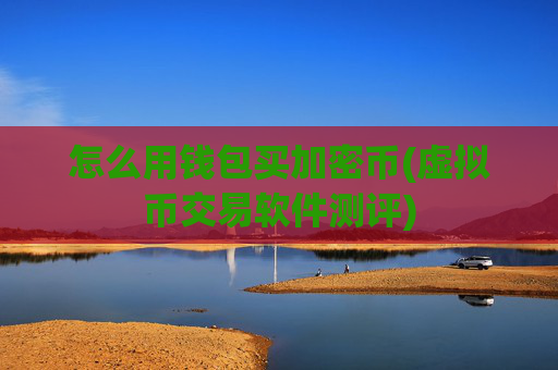 怎么用钱包买加密币(虚拟币交易软件测评)