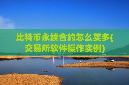 比特币永续合约怎么买多(交易所软件操作实例)