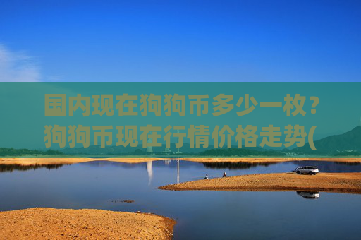 国内现在狗狗币多少一枚？狗狗币现在行情价格走势(现价3.1276元)