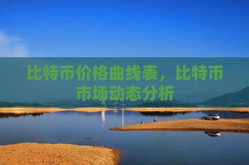 比特币价格曲线表，比特币市场动态分析