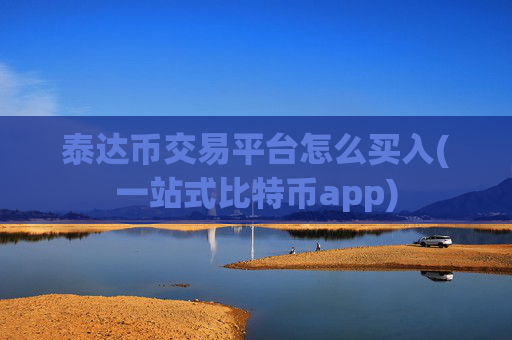 泰达币交易平台怎么买入(一站式比特币app)