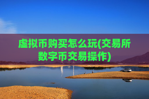 虚拟币购买怎么玩(交易所数字币交易操作)