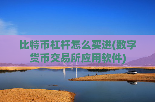 比特币杠杆怎么买进(数字货币交易所应用软件)