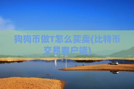 狗狗币做T怎么买卖(比特币交易客户端)