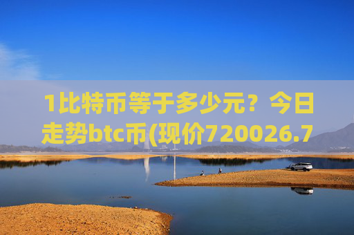 1比特币等于多少元？今日走势btc币(现价720026.75元)
