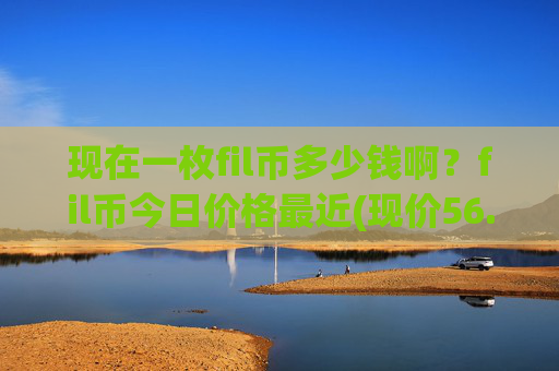 现在一枚fil币多少钱啊？fil币今日价格最近(现价56.4478元)