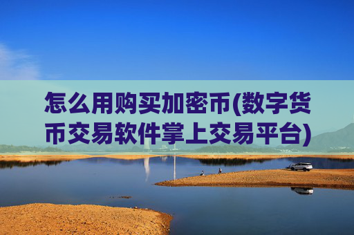 怎么用购买加密币(数字货币交易软件掌上交易平台)
