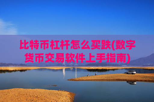 比特币杠杆怎么买跌(数字货币交易软件上手指南)