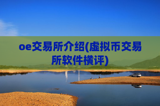 oe交易所介绍(虚拟币交易所软件横评)