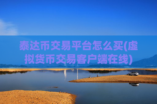 泰达币交易平台怎么买(虚拟货币交易客户端在线)