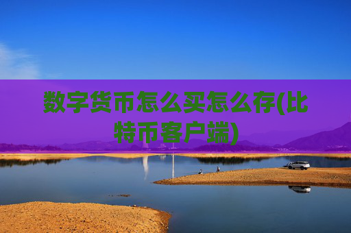 数字货币怎么买怎么存(比特币客户端)