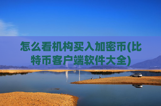 怎么看机构买入加密币(比特币客户端软件大全)