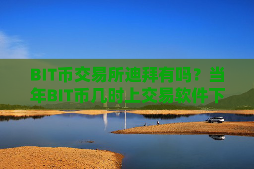 BIT币交易所迪拜有吗？当年BIT币几时上交易软件下载