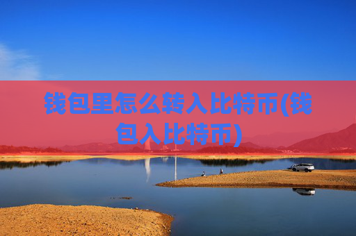 钱包里怎么转入比特币(钱包入比特币)