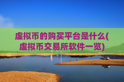 虚拟币的购买平台是什么(虚拟币交易所软件一览)