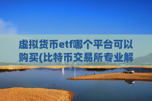 虚拟货币etf哪个平台可以购买(比特币交易所专业解析)