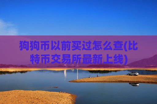 狗狗币以前买过怎么查(比特币交易所最新上线)