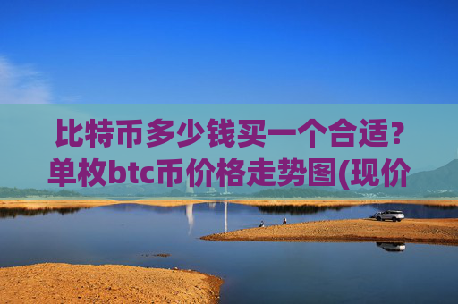 比特币多少钱买一个合适？单枚btc币价格走势图(现价720650.36元)