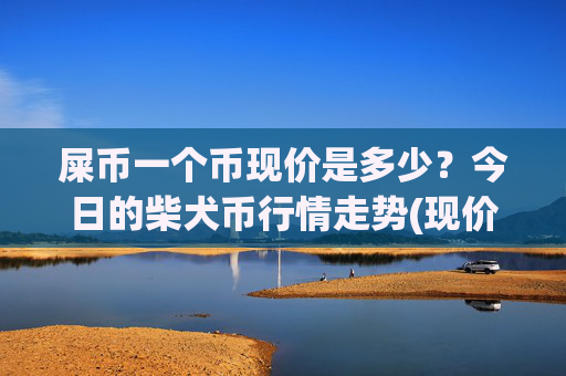 屎币一个币现价是多少?今日的柴犬币行情走势(现价0.00022507元)