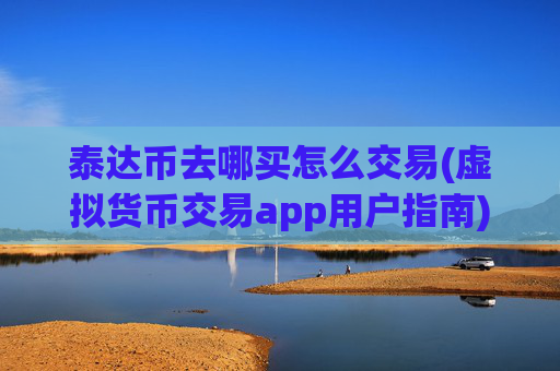 泰达币去哪买怎么交易(虚拟货币交易app用户指南)